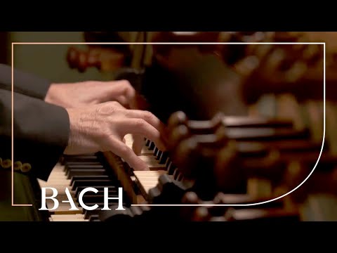 download lagu mp3 mp4 Bach 547, download mp3 Bach 547 free download mp3, download mp3 Bach 547