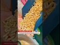 Small Animal Feed Pellat Mill Machine For Sale