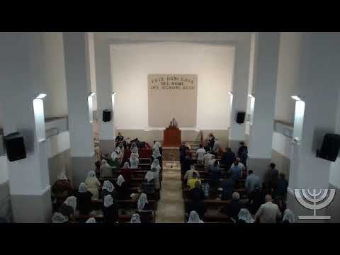 2020-10-04 Domenica Sera - Fr Gemelli - Fr Giovanni Gemelli - 2Re cap 6 vers 8-23