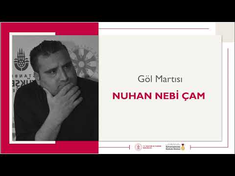 Göl Martısı | Nuhan Nebi Çam