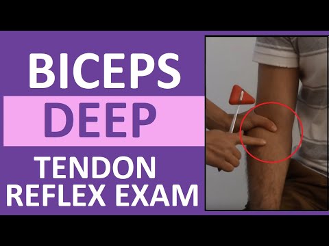 Biceps Deep Tendon Reflex Examination | Nursing Head to Toe Assessment