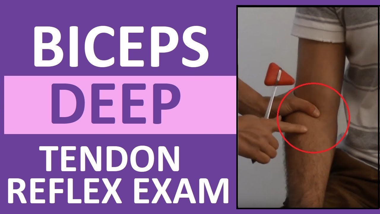 Biceps Deep Tendon Reflex Examination | Nursing Head to Toe Assessment
