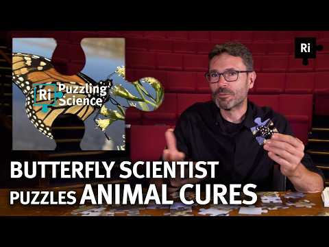 Animals can treat their own illnesses? | Puzzling Science with Jaap de Roode