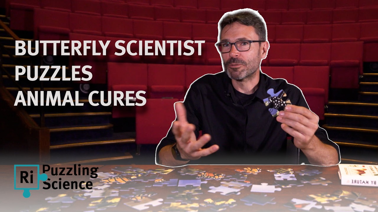 Animals can treat their own illnesses? | Puzzling Science with Japp de Roode