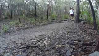 preview picture of video 'Mt Coolum Hike'