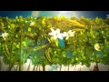 MOVIES OK Romance Ident
