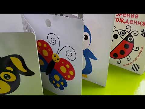 Миниатюра изображения товара Развивающая книга Робинс Развиваем зрение с рождения