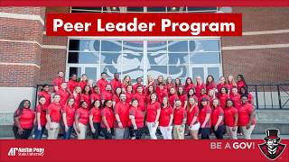 D2L Peer Leader Training for Instructors