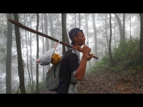 download lagu mp3 mp4 Cara Naik Gunung Rajabasa, download lagu Cara Naik Gunung Rajabasa gratis, unduh video klip Cara Naik Gunung Rajabasa