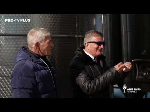 Wine Trips România S2E9 | Mircea Radu a aflat secretul vinurilor albe și rose ale Cramei Jidvei