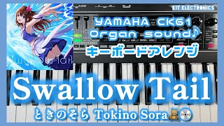 【ときのそら】Swallow Tailをキーボードでアレンジしてみた🧸💿 【YAMAHA CK61 Organ sound♫】