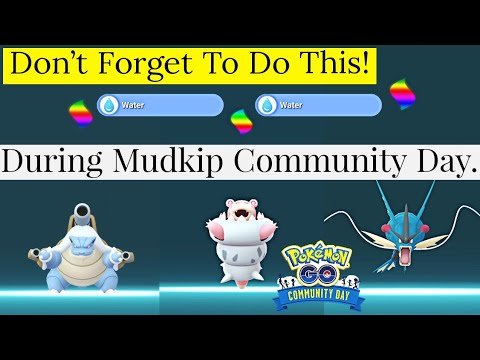 Don't Forget to do this! In Pokemon Go | During Mudkip Community Day Classic Pokemon Go Mega Pokemon