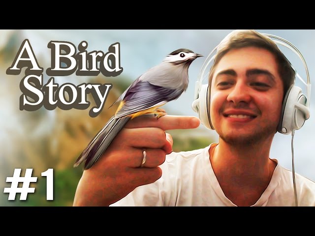 A Bird Story