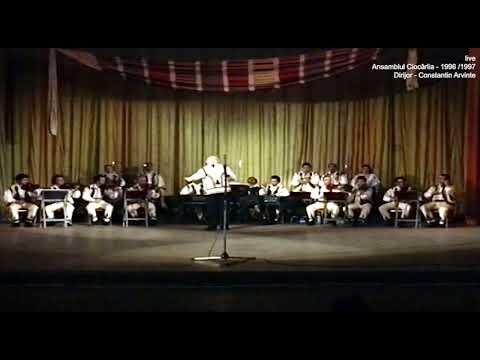 Constantin Arvinte  #Spectacol #Live #Ansamblul #Ciocarlia 1996 / 1997