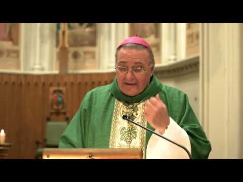 Catholic Mass Today | Daily Mass, English Mass,Wednesday 17 11 2021 | Good morning, Amen 2021