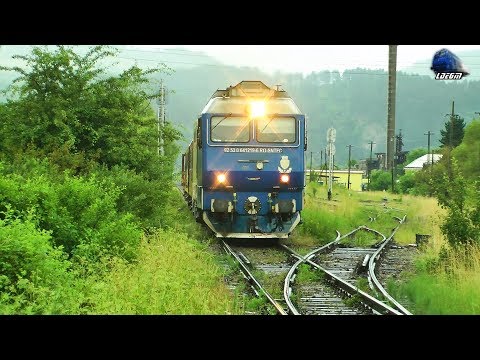 Anna~Jimmy 64-1219-6 & Mecanic Super Engineer in Gara Suncuius Station - 17 June 2017