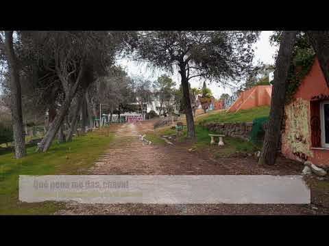 Mix (Mashup) 12 canciones/songs (Julieta, Gonzalo Hermida, Hey Kid, Conchita, Bianca Mui, Yarea...)