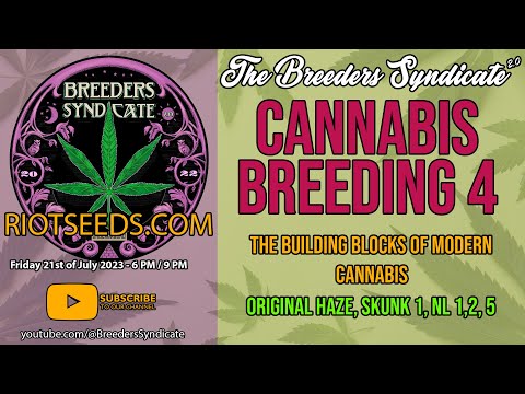 Cannabis Breeding 4 Base Lines for Modern Breeding NL Haze Skunk1 OG Kush Urkel Cookies S08 E12