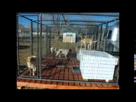 The Best Flooring For Your Dog Kennel House Plans Outdoor Kennel Flooring