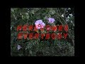 Here Comes Everybody ep32-1 (191122)