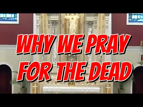 Homily 31st  Sunday in Ordinary Time 8am Mass 11-3-24 #catholichomily #catholicprayer #catholicmass