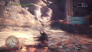 【MHWI】 テスト配信 【ソロ練習】
