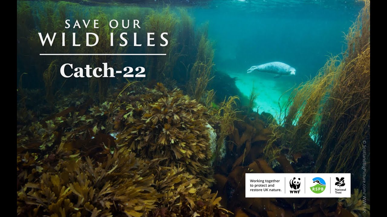 Save Our Wild Isles - Catch-22