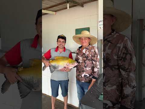 Peixaria JJ em Bujari Acre