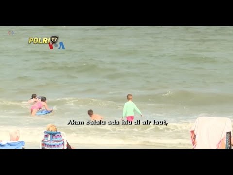 VOA - PERUBAHAN IKLIM PERLUAS DISTRIBUSI POPULASI HIU