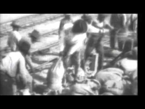 1927 Mississippi River flood in rare vintage film