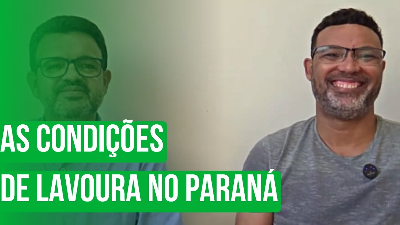 As condições de lavoura no Paraná