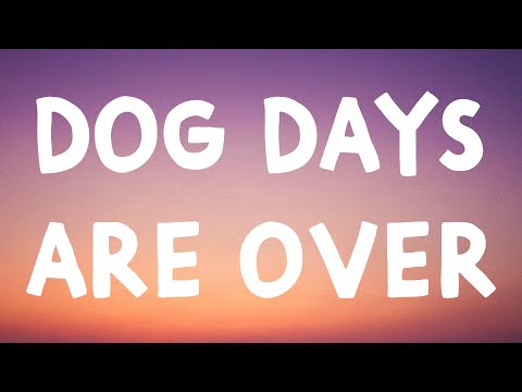 Florence + The Machine - Dog Days Are Over (Lyrics)