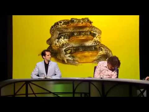 QI XL Series F Episode 10   Flora and Fauna