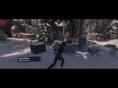 GTX 1060 Running rise of the Tomb Raider on max settings