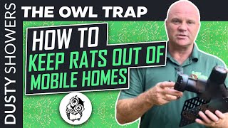 How to Get Rats Out of Your Mobile Homes Without Poison [Clearwater, Fl]