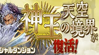 [신왕의 천공경계] 코코 펠케나 pt.