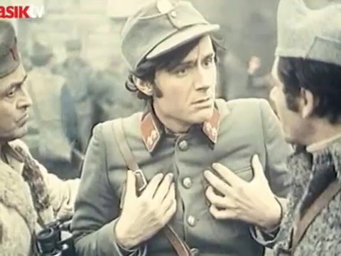 U gori raste zelen bor