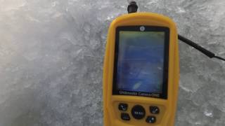 Подводная камера jj-connect underwater camera color