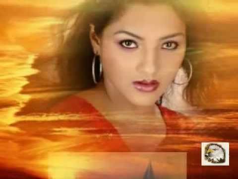 173. Zlati muzikantje  Iskal sem in našel