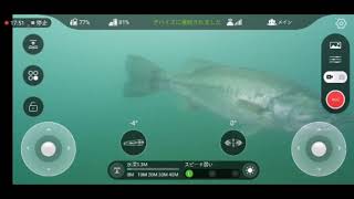 河口湖 水中ドローン・ＪＢ桟橋　Go!Go!NBC!