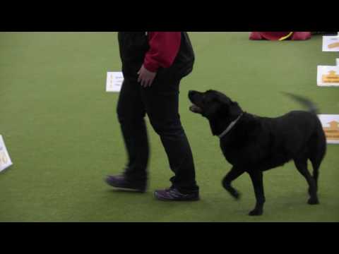 25.3.2017 Lahti, MES Riemu