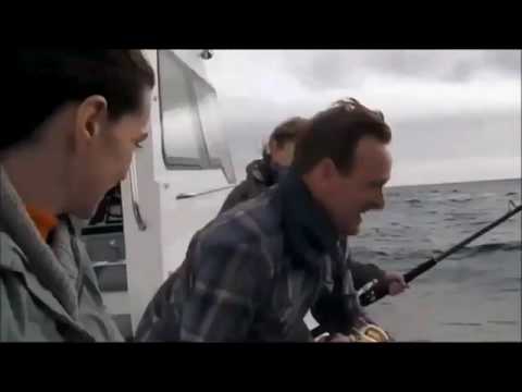 Megalodon attack Caught on Camera - Cape Town