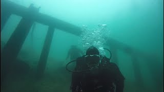 Shore dive in sturgeon alley Robson Dec 6