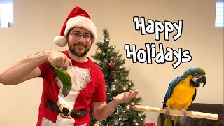 Happy Parrot Holidays & Announcement