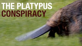 The Platypus Conspiracy