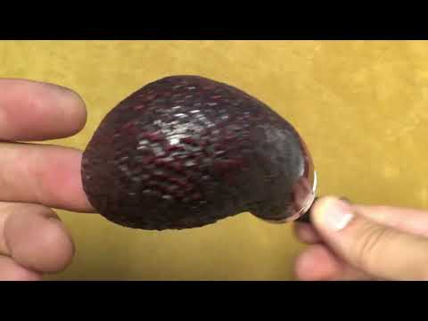 Pipa Peterson Standard System Large Sandblast 307S