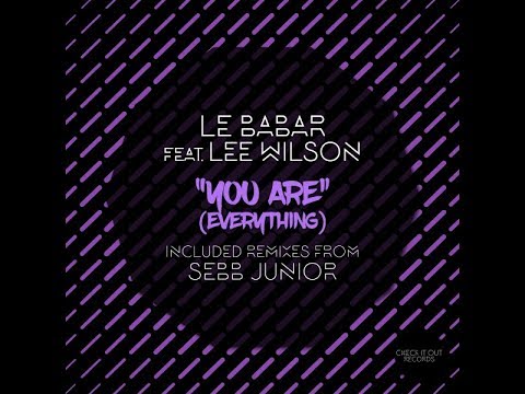 COMING SOON | Le Babar feat. Lee Wilson : You Are (Everything) (Sebb Junior Remix)