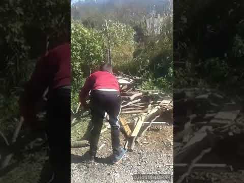 drusbistul din bălnaca face praf totul