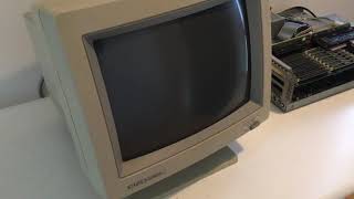 Amiga monitor giveaway. EIZO FLEXSCAN 9060S multiscan