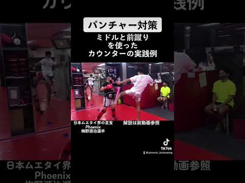 パンチャー対策！ミドルキックと前蹴りを使ったカウンターの実践例